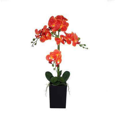 China Natural Touch Sales High Quality Simulated Artificial Orchid Flowers Wedding Home Decoration Plants Wholesale for sale