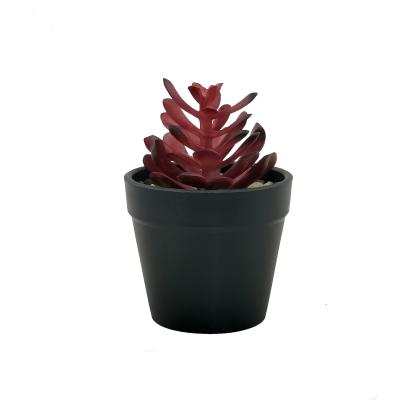 China Wholesale Environmental Protection Woody Plant Succulent Simulate Art Home Plant Wall Green Plants Decor Artificial Luxury for sale