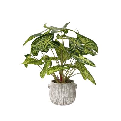 China Wholesale Nordic style evergreen taro leaf environmental protection woody plant decorative artificial plants for sale other decoration home garden for sale