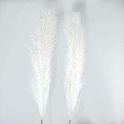 China Modern Timothy Grass Decorative Wholesale Environmental Protection Wedding Artwork Home Reverberant Room Decor On Sale for sale