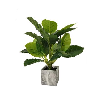 China China Eco - Friendly Artificial Plant Wholesale Real Touch Feeling Green Plants for sale