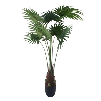 China Environmental Protection Artificial Home Plants For Sale Nordic Wholesale Wall Art Woodland Palmetto Plant Style Bonsai Table Room Home Decor Ornament for sale