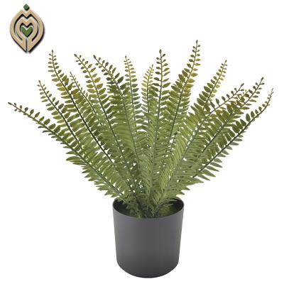 China Eco-friendly High Quality Hot Selling Artificial Fern for sale