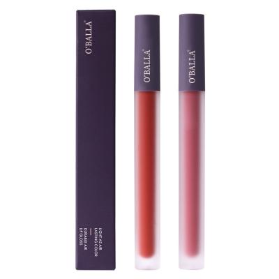 China Customized wholesale high quality lipstick color lip gloss lip gloss customized by blusher lip gloss container tube for sale