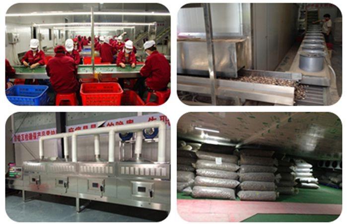 Verified China supplier - Lianfeng (Suizhou) Food Co., Ltd.