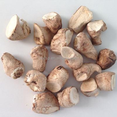 China Dry freeze shiitake mushroom stalk dried for sale