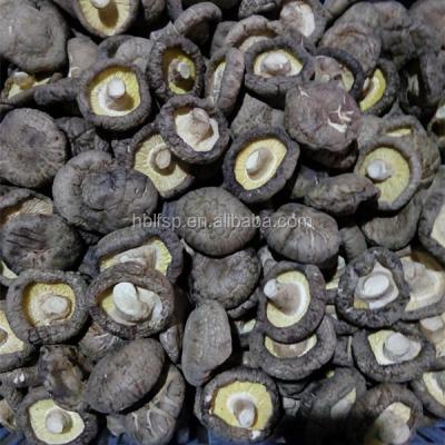 China Dried Mushroom Sprinkle Shiitake Mushroom / Shiitake Mushroom Price for sale