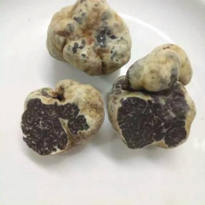 China Fresh wild dried whole white truffle prices for sale