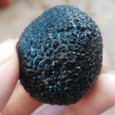 China Fresh Premium Healthy Wild Smooth Smooth Black Truffle for sale