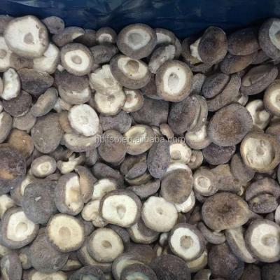 China IQF Mushroom Shiitake Jelly Whole Jelly for sale