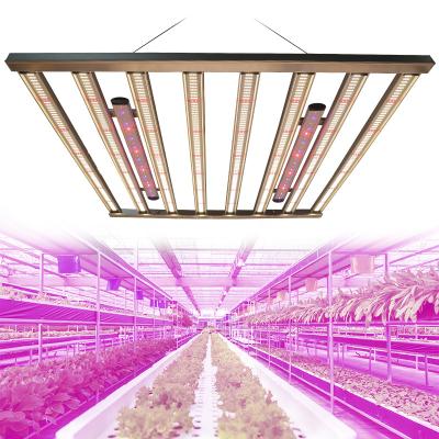 China Dimming button (RJ port wire dimming optional) Redfarm greenhouse Dimmable 1000w led spyder grow light quantum dimmable led grow light Oslon730nm with Meanwell driver for sale