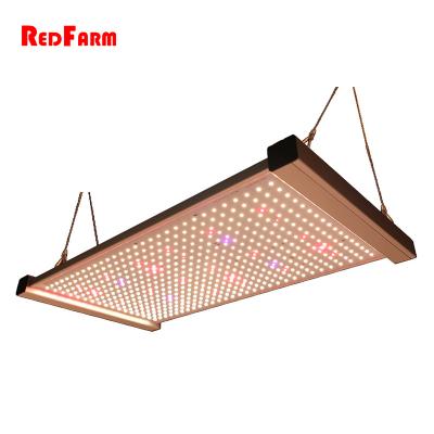 China Panel Style 320w 240w 480w Dimming Spectrum Samsung Commercial Quantum Led Grow Lights With UV IR Switch for sale