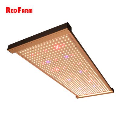 China Redfarm Style Juliet Dimming Switch Quantum Led Panel Grow Lights 320w Samsung Led Light Quantum Led Grow Lights for sale