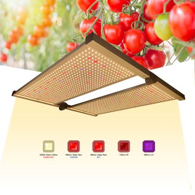 China 3.7lbs Esme Redfarm Quantum 650w IR UV Panel Style Output Led To Grow Light 480w For Greenhouse for sale