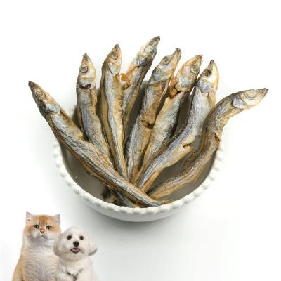 China Skin & Coat Health Manufacturer's Preferential Nutritional Freeze Dried Fish Pet Dry Snacks for Cats Dogs for sale