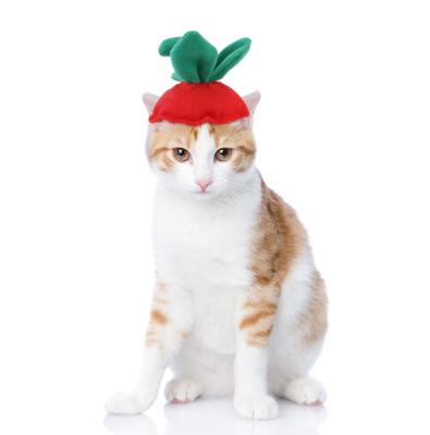 China 2021 Viable Whimsical Cat Hat Halloween Pet Headdress Pet Supplies for sale