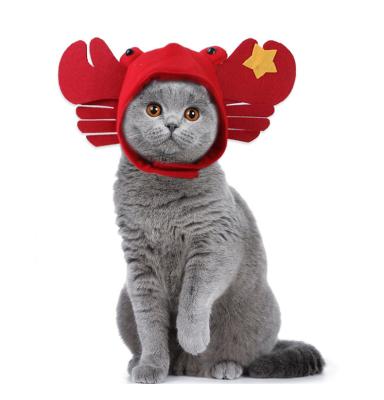 China A new sustainable warm pet sunflower hat and cat headgear to keep pets warm in the winter for sale