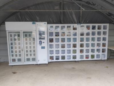 China Max.40 Vastgoedvariëteit Cupcake Locker Vending Machine met 1 controller en 8 machines Te koop