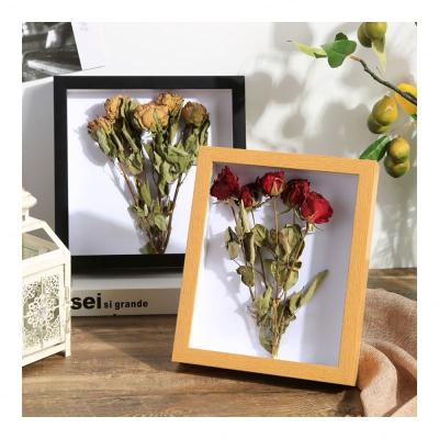 China Fashionable 3D Flower Dry Photo Frames Insect Specimen Holder Classroom Study Room Office Empty Picture Frame 6/7/8 inch for sale