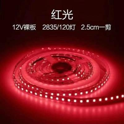 China Wholesale Price DC12V 2.5cm 5M/pcs SMD2835 120Leds LANDSCAPE LED Strip for sale