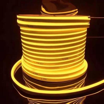 China LANDSCAPE Festival Decoration Light 8x16MM LED Outdoor Neon Cable 220v for sale