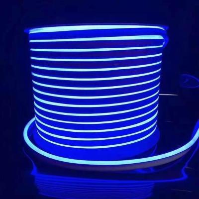 China LANDSCAPE PVC Material 12V 24V 110V 220V 8X16MM LED Rope Light Neon Tube for sale