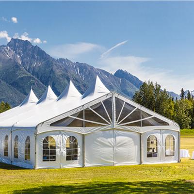 China Various Kinds of UV-resistance Various Sizes View Span Waterproof Fireproof Luxury Clear Aluminum Hospital Marquee Tent for Conferences and Exhibitions Gatherings for sale