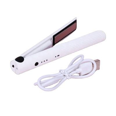 China Mini Negative Ion White Professional Household Electric Hair Dryer Flat Flat Hair Straightener for sale