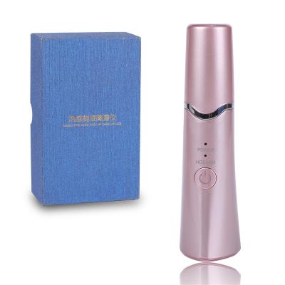 China Portable Blood Vessel Removal Beauty Care Skin Tightening Device Home Use Facial Massager Periwinkle Remover for sale