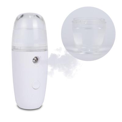 China Portable Ionic Facial Steam Humidifier Spray Moisturizer Moisturizer Nano Mist Sprayer for sale