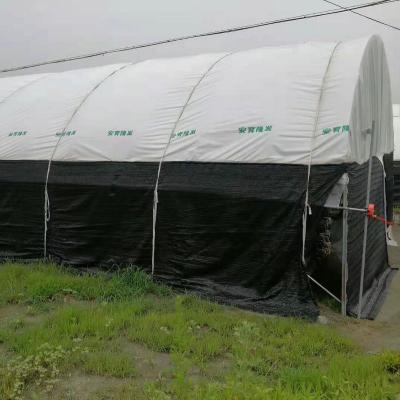 China Large Size Thick Polyethylene Panda Film Black White Plastic Covering Roll Moisture Proof For Greenhouse Plastic Film Poly Tarpaulin for sale