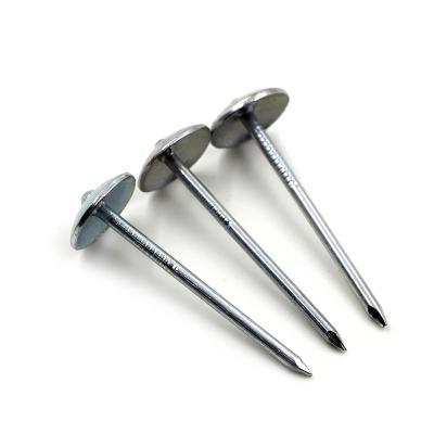 China Carbon Steel Flat Nail China Concrete Nails,Galvanized Steel Nails,Carbon Steel Nail for sale