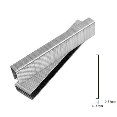 China Stainless Steel Flat Nail, Stainless Steel Staple, Wooden Staples for sale