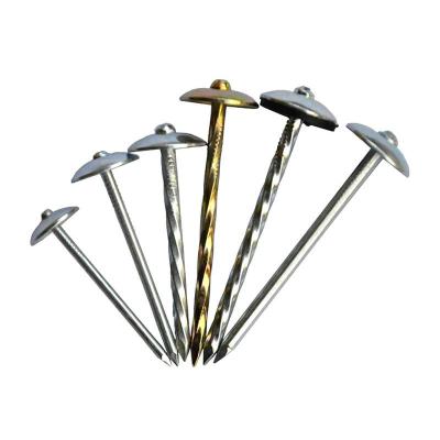 China Stainless Steel Flat Nail, Stainless Steel Staple, Wooden Staples for sale