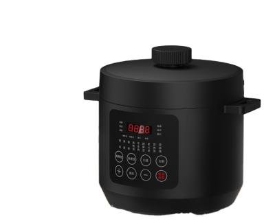 China LB-F12 5L/6L Household Kitchen Multifunctional Cooker Electric Pressure Cooker for sale