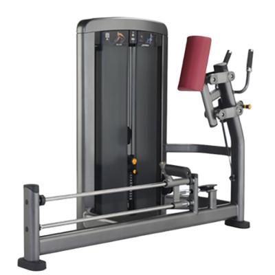 China Best Selling Commercial Universal Professional Body Gym Master Glute RuiBu-9018 Fitness Equipment for sale