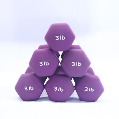 China Plastic Dip Into The Market Popular Hexagonal Arc Dip Dumbbell Plastic Iron Dumbbell for sale