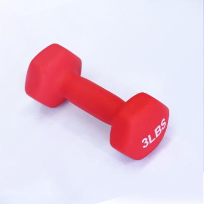 China Plastic Dip In Customizable Dumbbell Weight Colored Plastic Covered Dumbbell for sale