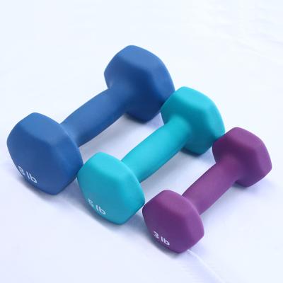 China Plastic Dip In Dumbbell Logo Customized 32lb Womens Fitness Dumbbell Set To Create A Charming Figure for sale