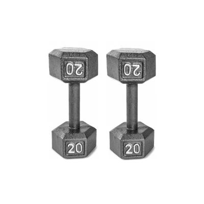 China Kettlebell Model Mount Gym Fitness Painted Hex Hot Selling Dumbbell for sale