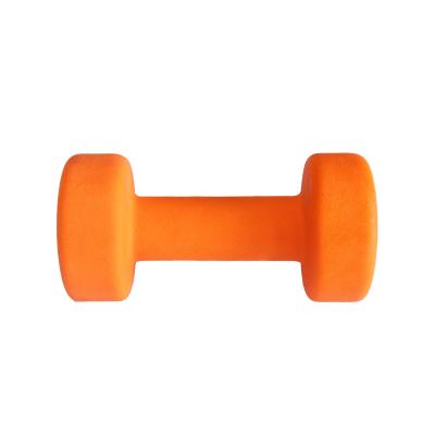 China China Supplier Wholesale Flat Head Flat Head Small Gym Dip Small Plastic Dumbbell for sale