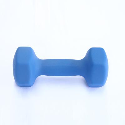 China Plastic Dip In Dumbbell Market Popular Hexagon Arc Anti-Slip Frosted Plastic Dip Dumbbell for sale