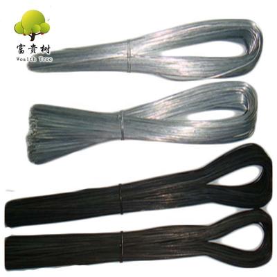 China Wrapping Iron Wire Annealed Soft Black Black Annealed Type Iron Wire Binding Wire /cheap U Black Wire for sale