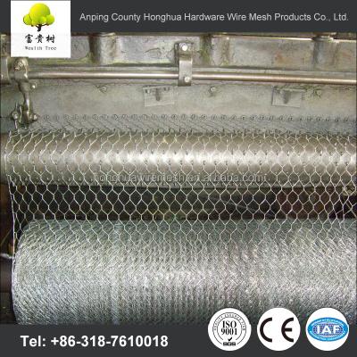 China Dutch Weave 1/4 Inch Galvanized Chicken Wire Mesh / Galvanized Hex Wire Netting for sale