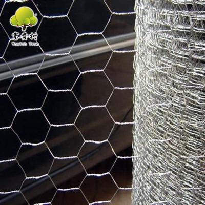 China Cages Hexagonal Chicken Wire Mesh For Farm Animals / Galvanized Chicken Wire Mesh / Hexagonal Mesh for sale