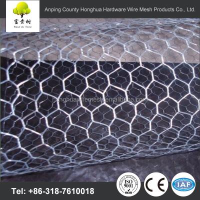 China Dutch Weave Galvanized Hex Wire Netting / Chicken Netting for sale