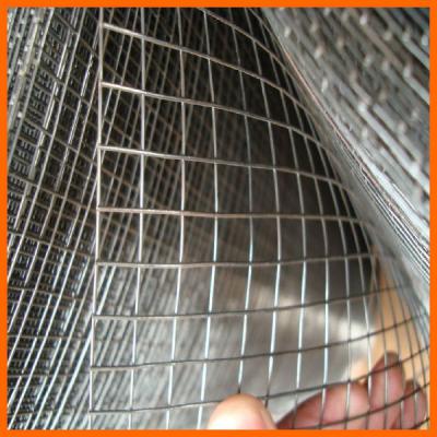 China Rust-resistant, fine anti-corrosion galvanized net galvanized iron dquare wire mesh (factory direct) for sale