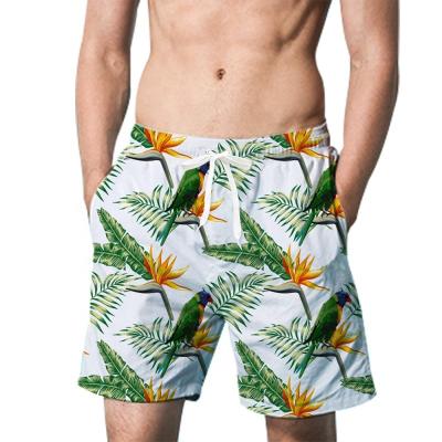 China Sustainable Custom Digital Printed 3D Sublimation Swim Beach Shorts Plus Size Mens Beach Pants Shorts Mens for sale