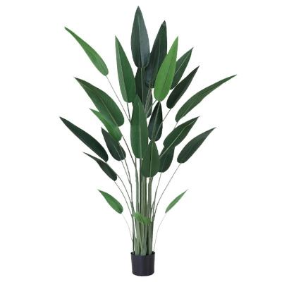 China Minimalist Almost Natural Palm Plant Ficus Lyrata Dypsis Lutescens Tropical Classic Artificial Banana Tree for sale