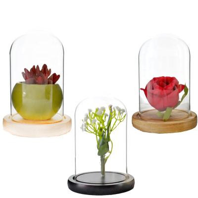 China Wedding decoration & Wholesale Decorative Jar Container Gift Display Dome Glass Cloche For Candles for sale